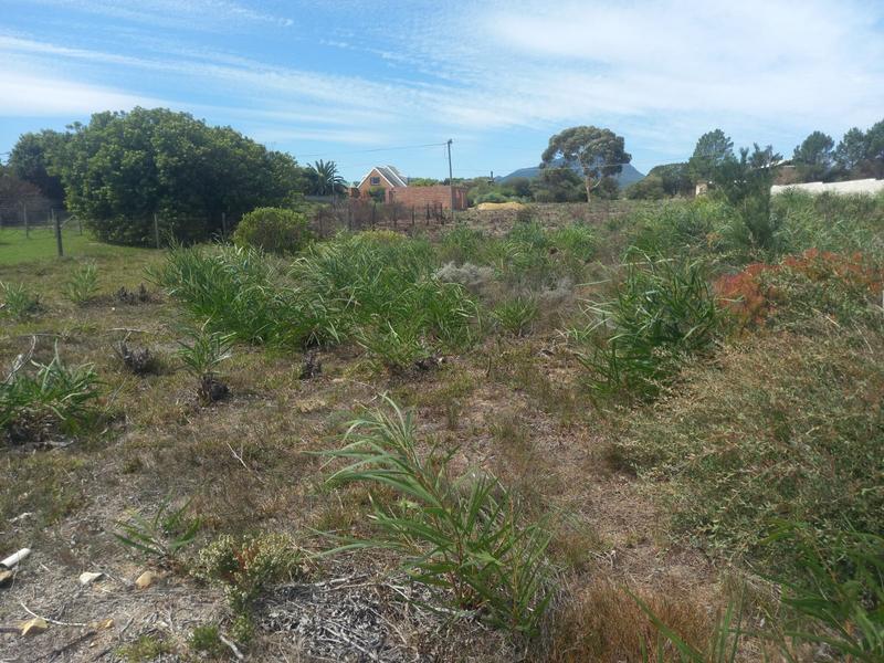 0 Bedroom Property for Sale in Fisherhaven Western Cape